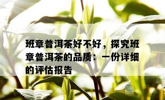 班章普洱茶好不好，探究班章普洱茶的品质：一份详细的评估报告