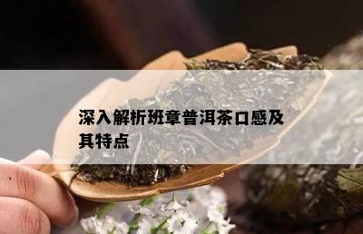 深入解析班章普洱茶口感及其特点