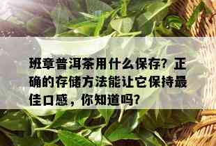 班章普洱茶用什么保存？正确的存储方法能让它保持更佳口感，你知道吗？