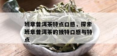 班章普洱茶特点口感，探索班章普洱茶的独特口感与特点