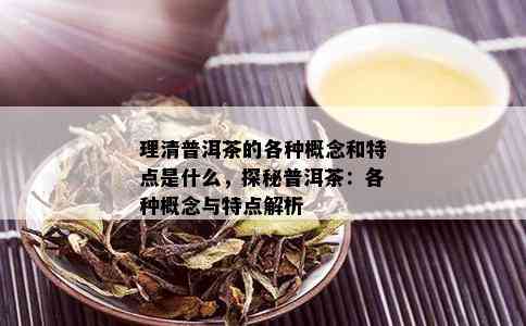 理清普洱茶的各种概念和特点是什么，探秘普洱茶：各种概念与特点解析