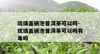 琉璃盖碗泡普洱茶可以吗-琉璃盖碗泡普洱茶可以吗有吗