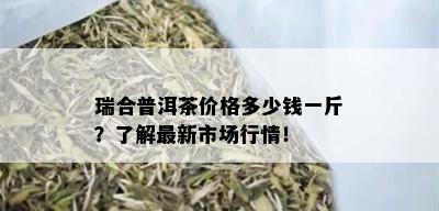 瑞合普洱茶价格多少钱一斤？了解最新市场行情！