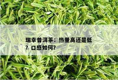 瑞幸普洱茶：热量高还是低？口感如何？