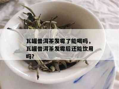 瓦罐普洱茶发霉了能喝吗，瓦罐普洱茶发霉后还能饮用吗？