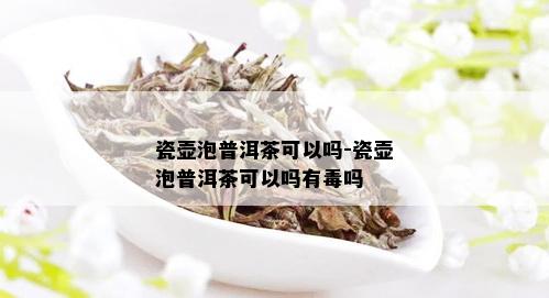 瓷壶泡普洱茶可以吗-瓷壶泡普洱茶可以吗有吗