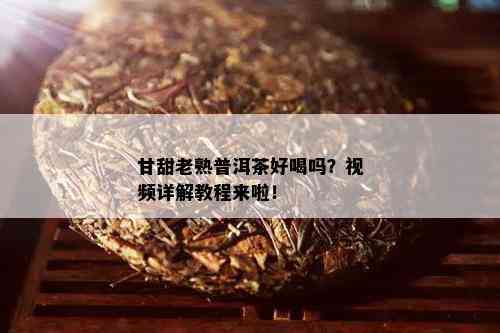 甘甜老熟普洱茶好喝吗？视频详解教程来啦！