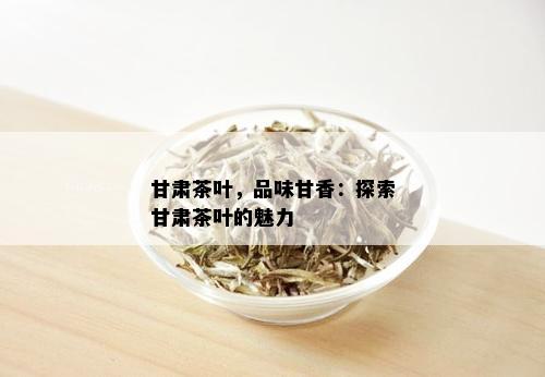 甘肃茶叶，品味甘香：探索甘肃茶叶的魅力