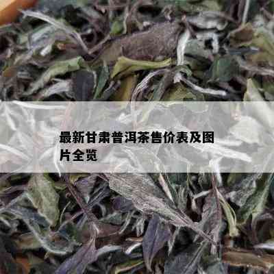 最新甘肃普洱茶售价表及图片全览