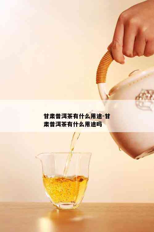 甘肃普洱茶有什么用途-甘肃普洱茶有什么用途吗