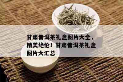 甘肃普洱茶礼盒图片大全，精美绝伦！甘肃普洱茶礼盒图片大汇总