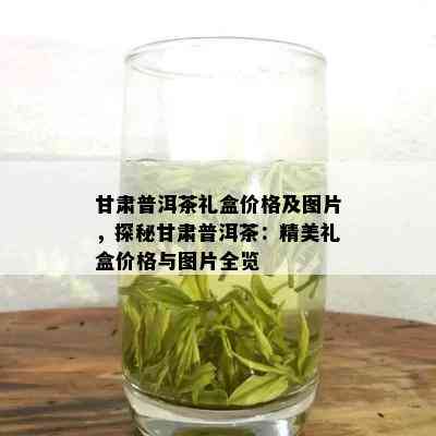 甘肃普洱茶礼盒价格及图片，探秘甘肃普洱茶：精美礼盒价格与图片全览