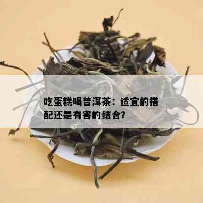 吃蛋糕喝普洱茶：适宜的搭配还是有害的结合？