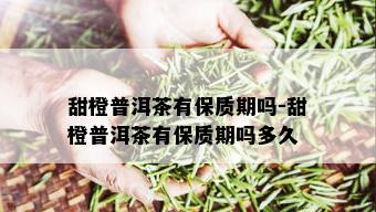 甜橙普洱茶有保质期吗-甜橙普洱茶有保质期吗多久