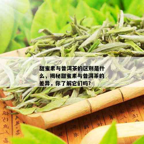 甜蜜素与普洱茶的区别是什么，揭秘甜蜜素与普洱茶的差异，你了解它们吗？