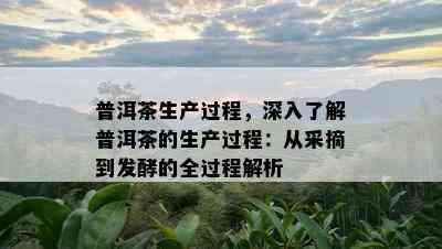 普洱茶生产过程，深入了解普洱茶的生产过程：从采摘到发酵的全过程解析