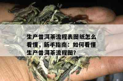 生产普洱茶流程表图纸怎么看懂，新手指南：如何看懂生产普洱茶流程图？