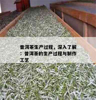 普洱茶生产过程，深入了解：普洱茶的生产过程与制作工艺