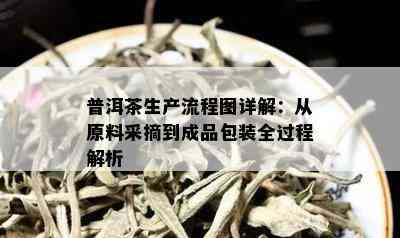 普洱茶生产流程图详解：从原料采摘到成品包装全过程解析