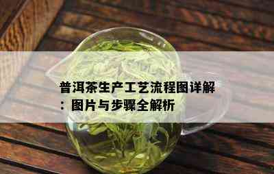 普洱茶生产工艺流程图详解：图片与步骤全解析