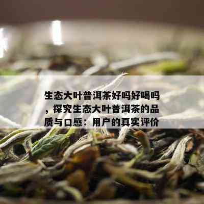 生态大叶普洱茶好吗好喝吗，探究生态大叶普洱茶的品质与口感：用户的真实评价