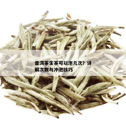 普洱茶生茶可以泡几次？详解次数与冲泡技巧