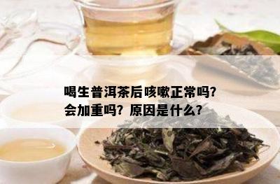 喝生普洱茶后咳嗽正常吗？会加重吗？原因是什么？