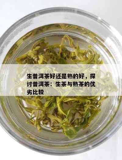 生普洱茶好还是熟的好，探讨普洱茶：生茶与熟茶的优劣比较