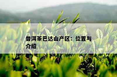 普洱茶巴达山产区：位置与介绍