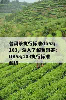 普洱茶执行标准db53/103，深入了解普洱茶：DB53/103执行标准解析