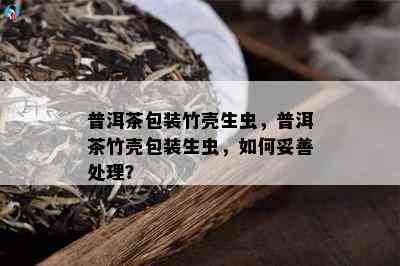 普洱茶包装竹壳生虫，普洱茶竹壳包装生虫，如何妥善处理？