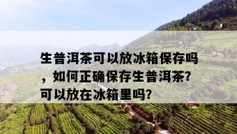 生普洱茶可以放冰箱保存吗，如何正确保存生普洱茶？可以放在冰箱里吗？