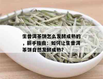 生普洱茶饼怎么发酵成熟的，新手指南：如何让生普洱茶饼自然发酵成熟？