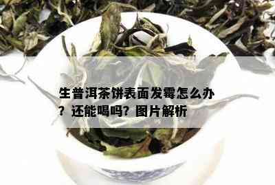 生普洱茶饼表面发霉怎么办？还能喝吗？图片解析