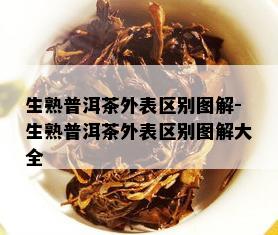 生熟普洱茶外表区别图解-生熟普洱茶外表区别图解大全