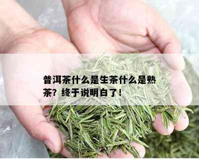 普洱茶什么是生茶什么是熟茶？终于说明白了！