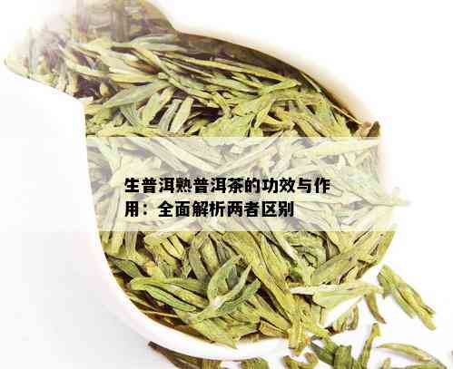 生普洱熟普洱茶的功效与作用：全面解析两者区别