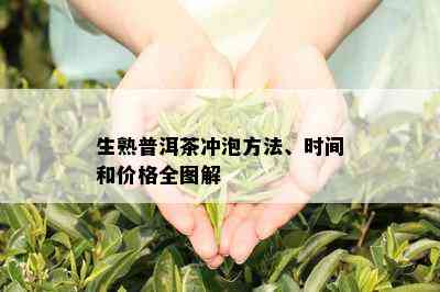 生熟普洱茶冲泡方法、时间和价格全图解