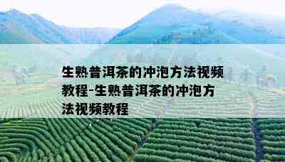 生熟普洱茶的冲泡方法视频教程-生熟普洱茶的冲泡方法视频教程