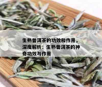 生熟普洱茶的功效和作用，深度解析：生熟普洱茶的神奇功效与作用