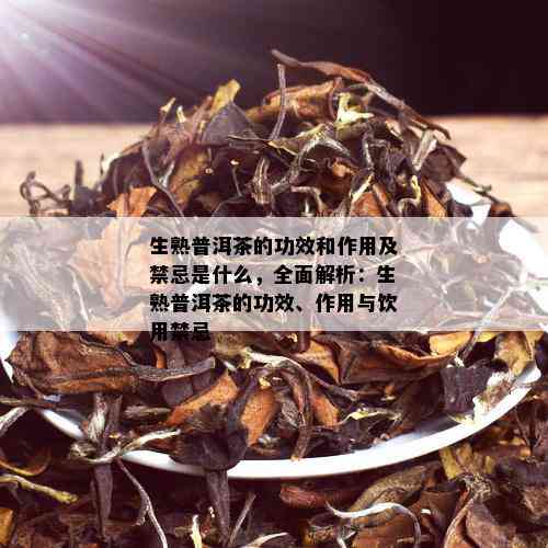 生熟普洱茶的功效和作用及禁忌是什么，全面解析：生熟普洱茶的功效、作用与饮用禁忌