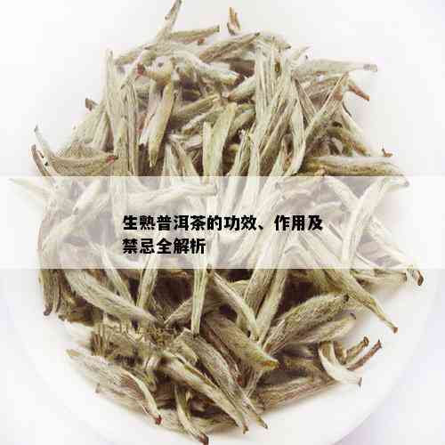 生熟普洱茶的功效、作用及禁忌全解析