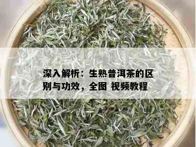 深入解析：生熟普洱茶的区别与功效，全图 视频教程