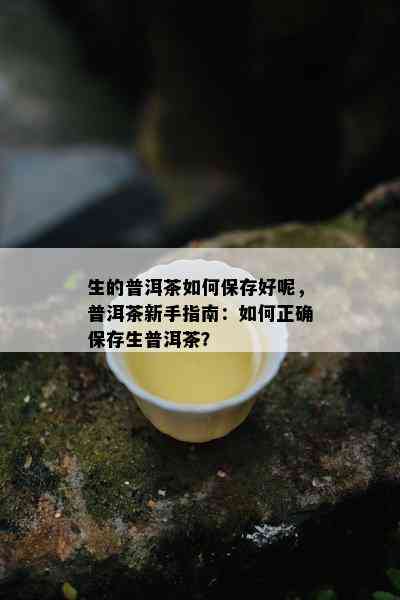 生的普洱茶如何保存好呢，普洱茶新手指南：如何正确保存生普洱茶？