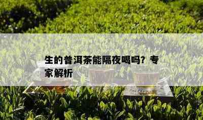 生的普洱茶能隔夜喝吗？专家解析