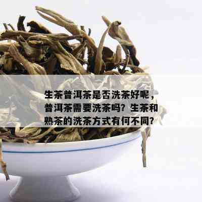 生茶普洱茶是否洗茶好呢，普洱茶需要洗茶吗？生茶和熟茶的洗茶方式有何不同？