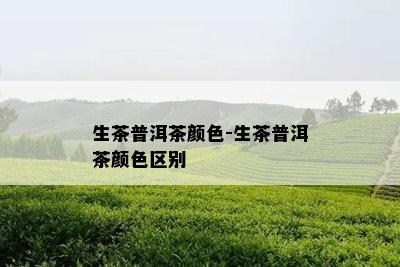 生茶普洱茶颜色-生茶普洱茶颜色区别