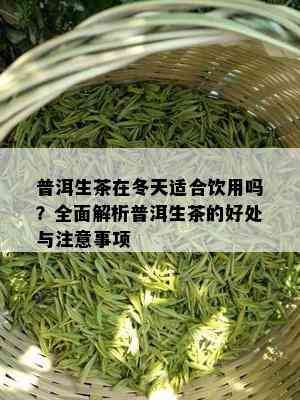 普洱生茶在冬天适合饮用吗？全面解析普洱生茶的好处与注意事项