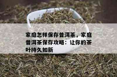 家庭怎样保存普洱茶，家庭普洱茶保存攻略：让你的茶叶持久如新