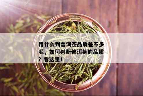 用什么判普洱茶品质差不多呢，如何判断普洱茶的品质？看这里！